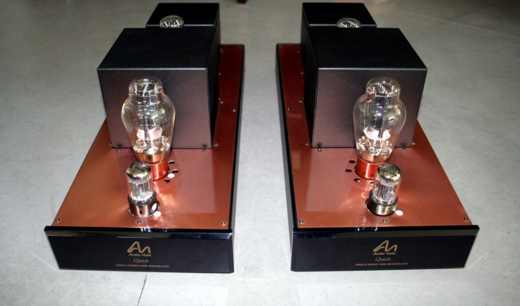 audionote iziz power mains