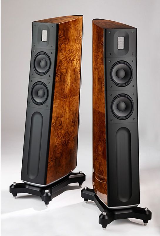 The Raidho D2.1 speakers