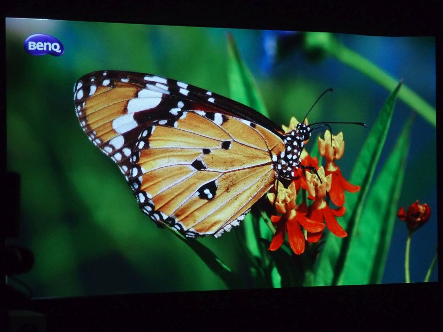 The stunning colours and clarity produced by the BenQ projctor.